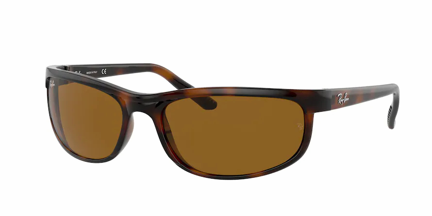 Ray-Ban RB2027 PREDATOR 2 650833