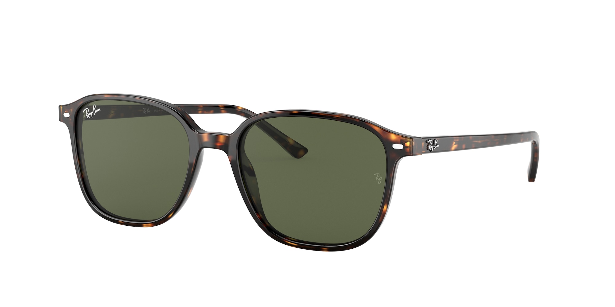 Ray-Ban RB2193 LEONARDO 902/31