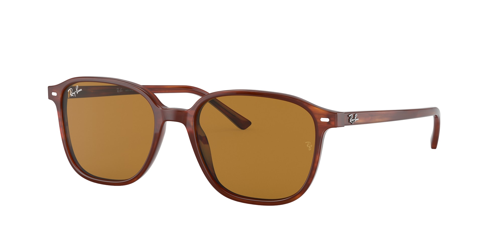 Ray-Ban RB2193 LEONARDO 954/33