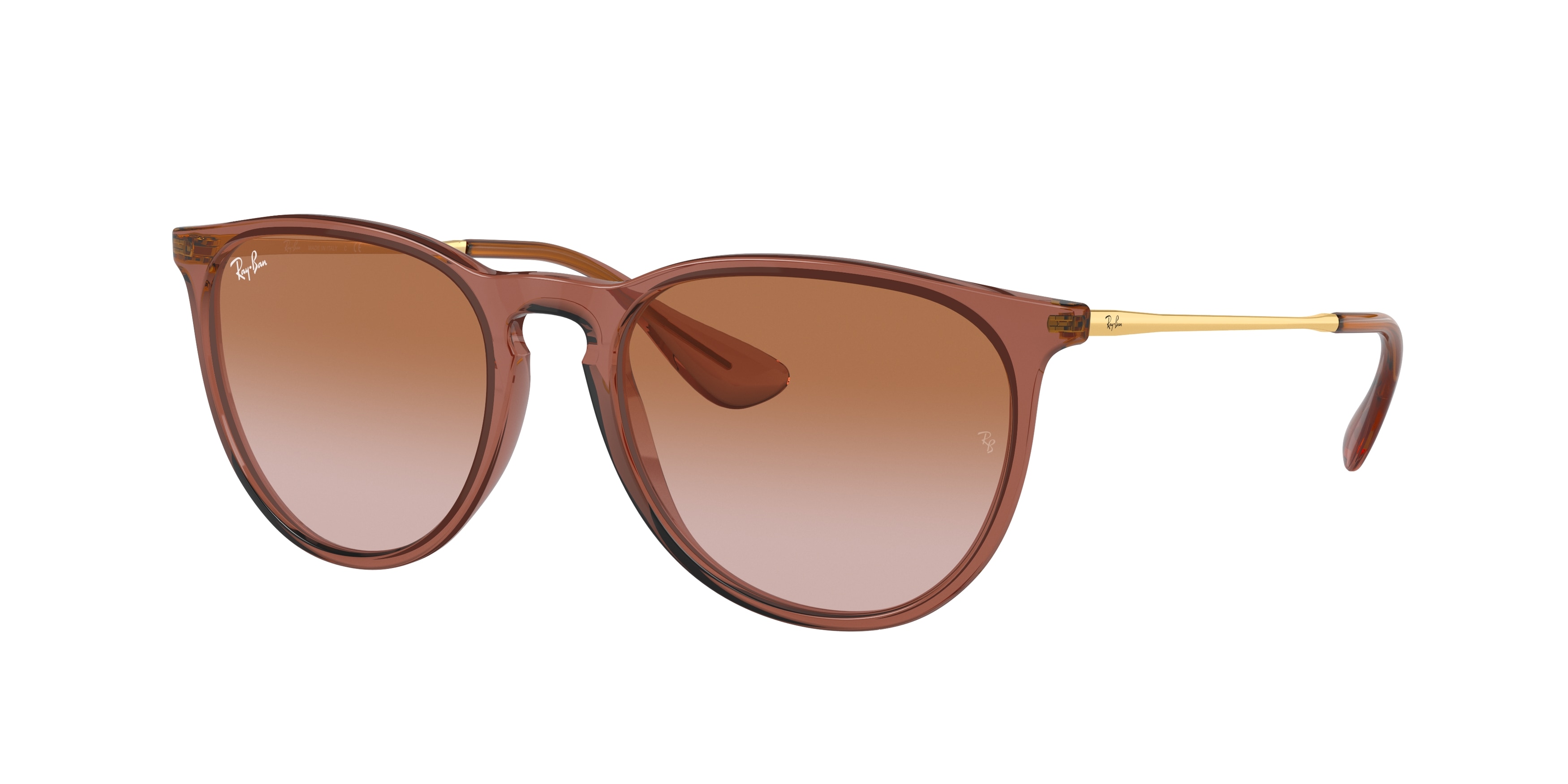 Ray-Ban RB4171 ERIKA 659013