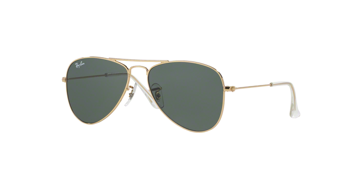 Ray-Ban RJ9506S 223/71